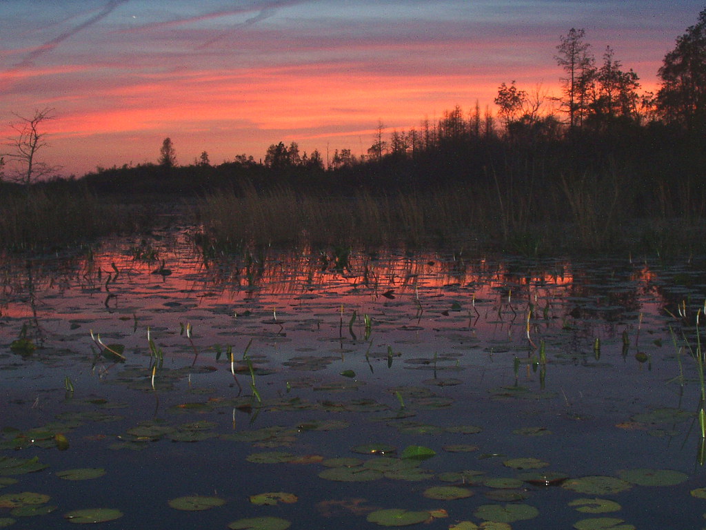 Sunset over the Okefenokee Swamp near Waycross, Georgia